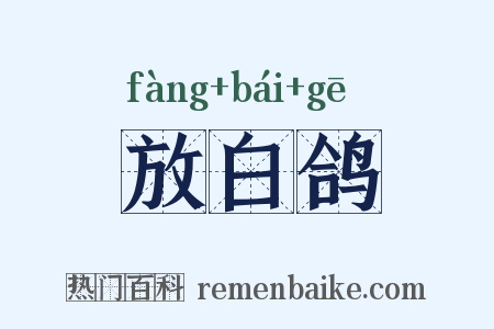 放白鸽是什么意思的图片